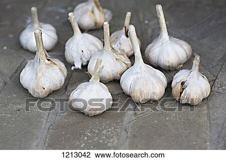 A group of garlic bulbs View Large Photo Image Stock Image - A group of garlic bulbs. Fotosearch