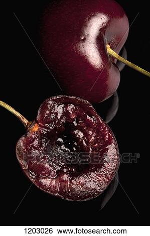A half of a Bing cherry lying next to a whole cherry View Large Photo Image Stock Photograph - A half of a Bing cherry lying next to a whole cherry. Fotosearch
