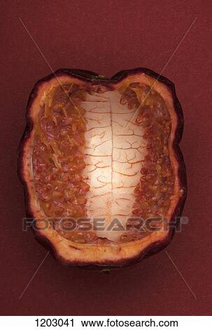A half of a passion fruit View Large Photo Image Stock Image - A half of a passion fruit. Fotosearch