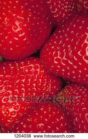 A heap of strawberries, close-up, full frame View Large Photo Image Stock Photo - A heap of strawberries, close-up, full frame. Fotosearch