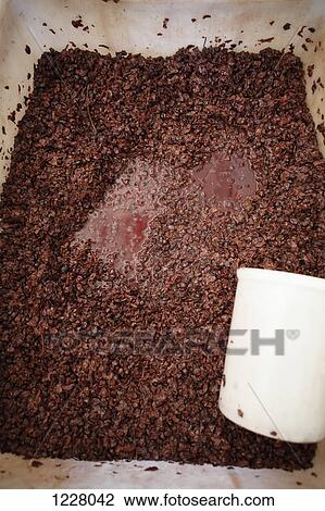 A plastic bin filled with fermenting red grapes View Large Photo Image Stock Image - A plastic bin filled with fermenting red grapes. Fotosearch