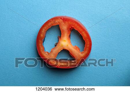 A seeded slice of tomato on a blue background View Large Photo Image Stock Photograph - A seeded slice of tomato on a blue background. Fotosearch