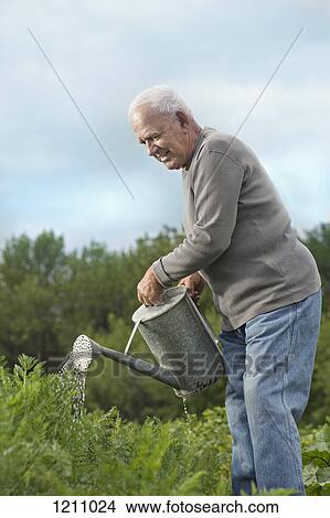 A senior man watering plants in his garden View Large Photo Image Picture - A senior man watering plants in his garden. Fotosearch