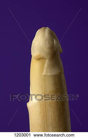 Résultat de recherche d'images pour "suggestive big asparagus close up"