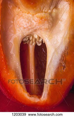 A suggestive looking cross section of a bell pepper, close-up, full frame View Large Photo Image Stock Photo - A suggestive looking cross section of a bell pepper, close-up, full frame. Fotosearch