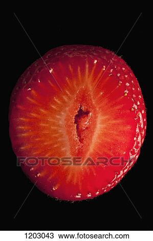 A suggestively shaped cross section of a strawberry View Large Photo Image Stock Image - A suggestively shaped cross section of a strawberry. Fotosearch
