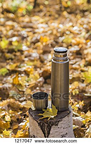 A thermos and a thermos lid on a tree stump in autumn View Large Photo Image Stock Photo - A thermos and a thermos lid on a tree stump in autumn. Fotosearch