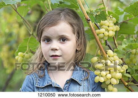 A young girl standing next to a grape vine View Large Photo Image Stock Image - A young girl standing next to a grape vine. Fotosearch