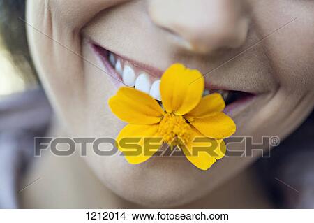 A young grinning woman holding a single flower in her mouth View Large Photo Image Picture - A young grinning woman holding a single flower in her mouth. Fotosearch