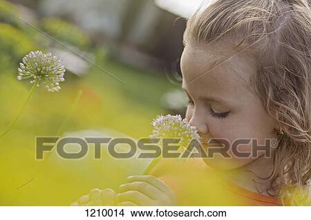 Picture - A young smiling girl smelling a flower. Fotosearch