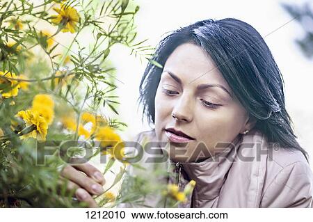 Stock Image - A young woman considering a yellow wildflower. Fotosearch