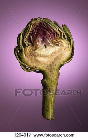Stock Photo - An artichoke half in mid-air on a purple background. Fotosearch