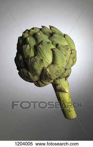 Stock Photography - An artichoke in mid-air. Fotosearch