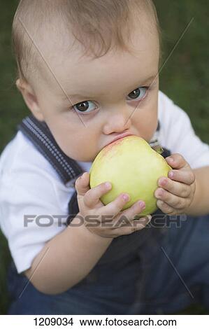 Baby biting apple View Large Photo Image Picture - Baby biting apple. Fotosearch