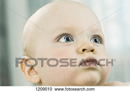 Baby blue eyes View Large Photo Image Stock Image - Baby blue eyes. Fotosearch