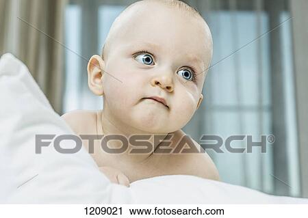 Baby blue eyes View Large Photo Image Stock Image - Baby blue eyes. Fotosearch