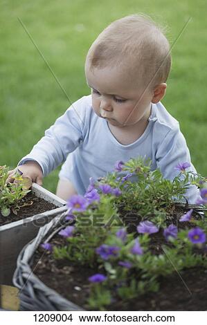 Picture - Baby in garden looking at pot of flowers. Fotosearch