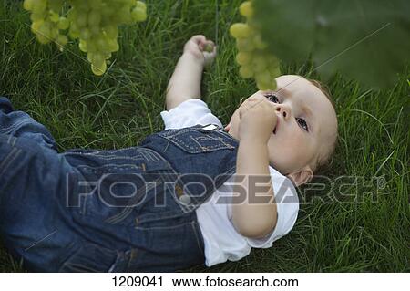 Stock Image - Baby lying on grass looking up at grapes. Fotosearch