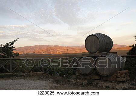 Barrels used for storing wine stacked in the back of a vineyard, Sicily, Italy View Large Photo Image Stock Photography - Barrels used for storing wine stacked in the back of a vineyard, Sicily, Italy. Fotosearch