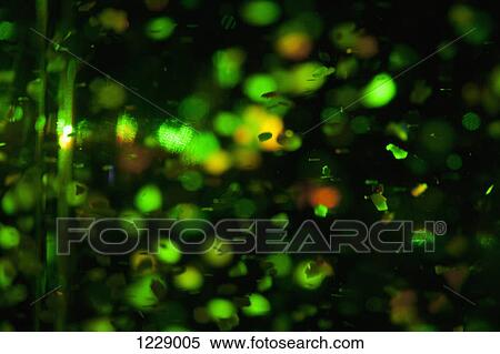 Bokeh effect on close up of snow globe View Large Photo Image Stock Photography - Bokeh effect on close up of snow globe. Fotosearch