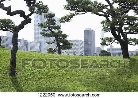 Stock Image - Cityscape view from Hamarikyu Park, Japan. Fotosearch