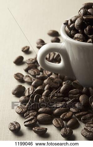 Coffee beans in and around a coffee cup View Large Photo Image Stock Photograph - Coffee beans in and around a coffee cup. Fotosearch