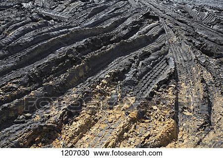 Construction vehicle tracks View Large Photo Image Stock Image - Construction vehicle tracks. Fotosearch