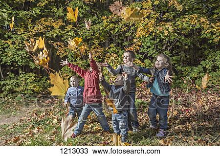 Five kids trying to catching falling autumn leaves View Large Photo Image Stock Image - Five kids trying to catching falling autumn leaves. Fotosearch