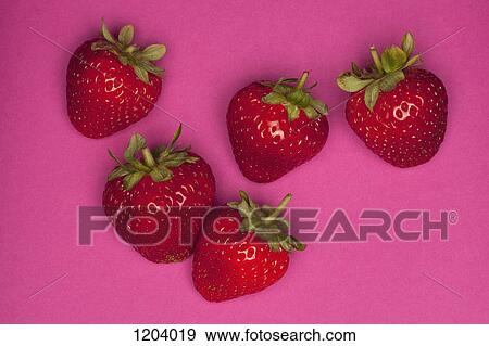 Stock Photo - Five strawberries on a pink background. Fotosearch