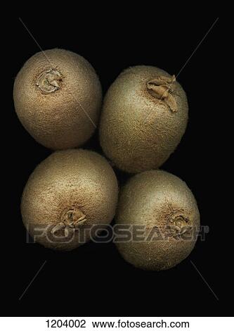 Four kiwis on a black background View Large Photo Image Stock Image - Four kiwis on a black background. Fotosearch