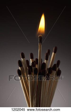 One lit match in bundle of matches View Large Photo Image Stock Photography - One lit match in bundle of matches. Fotosearch