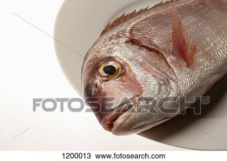 Stock Image - Red sea bream fish head on plate. Fotosearch