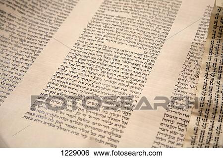The Torah View Large Photo Image Stock Photograph - The Torah. Fotosearch