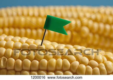 Stock Photograph - Tiny flag in sweet corn. Fotosearch