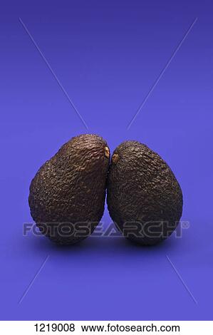 Stock Photo - Two avocadoes leaning on each other. Fotosearch