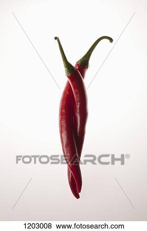 Two red chili peppers intertwined View Large Photo Image Stock Photo - Two red chili peppers intertwined. Fotosearch