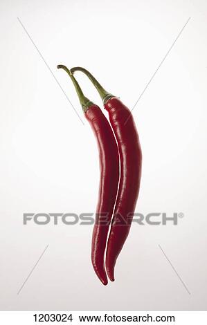 Two red chili peppers touching in a row View Large Photo Image Picture - Two red chili peppers touching in a row. Fotosearch