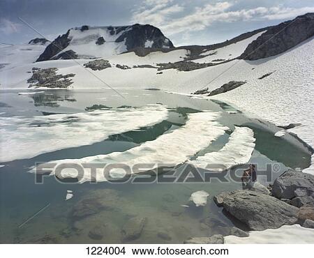 Picture - Woman sitting on rock by lake on Blackcomb Mountain, Whistler, Canada. Fotosearch