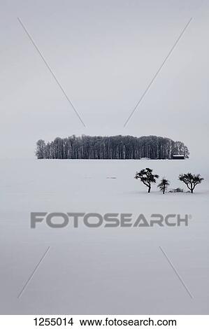 A built structure on the edge of a wooded area in a snowy landscape View Large Photo Image Picture - A built structure on the edge of a wooded area in a snowy landscape. Fotosearch
