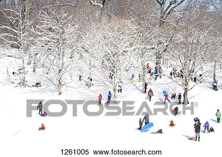 A crowd of people sledding in a park View Large Photo Image Stock Photography - A crowd of people sledding in a park. Fotosearch