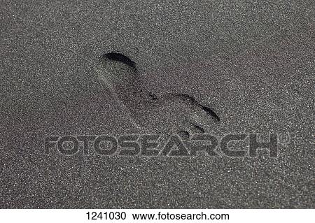 A footprint in sand View Large Photo Image Stock Image - A footprint in sand. Fotosearch