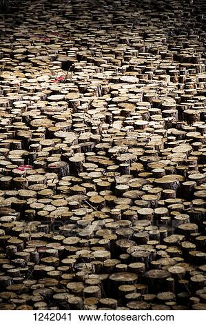 Abundance of wooden logs View Large Photo Image Stock Image - Abundance of wooden logs. Fotosearch