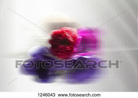 An abstract view of oriental poppies behind beveled glass View Large Photo Image Stock Image - An abstract view of oriental poppies behind beveled glass. Fotosearch