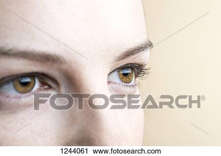 Close-up of woman's brown eyes View Large Photo Image Stock Image - Close-up of woman's brown eyes. Fotosearch