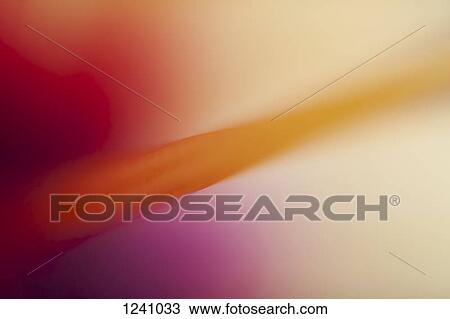 Defocused abstract macro of a flower stamen View Large Photo Image Stock Image - Defocused abstract macro of a flower stamen. Fotosearch