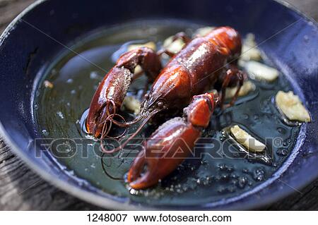 Freshwater Yabby (Cherax destructor) cooked in oil with garlic View Large Photo Image Stock Photo - Freshwater Yabby (Cherax destructor) cooked in oil with garlic. Fotosearch