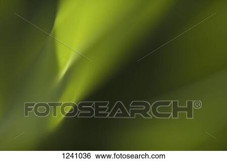 Full frame macro abstract of flower leaf View Large Photo Image Stock Photograph - Full frame macro abstract of flower leaf. Fotosearch