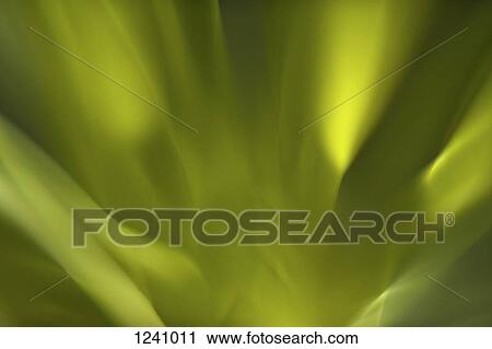 Green abstract light View Large Photo Image Stock Image - Green abstract light. Fotosearch