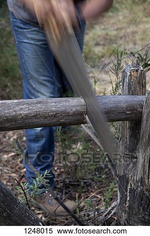 Stock Photography - Man cutting log with saw. Fotosearch