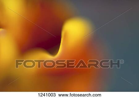 Multicolored abstract light View Large Photo Image Stock Image - Multicolored abstract light. Fotosearch